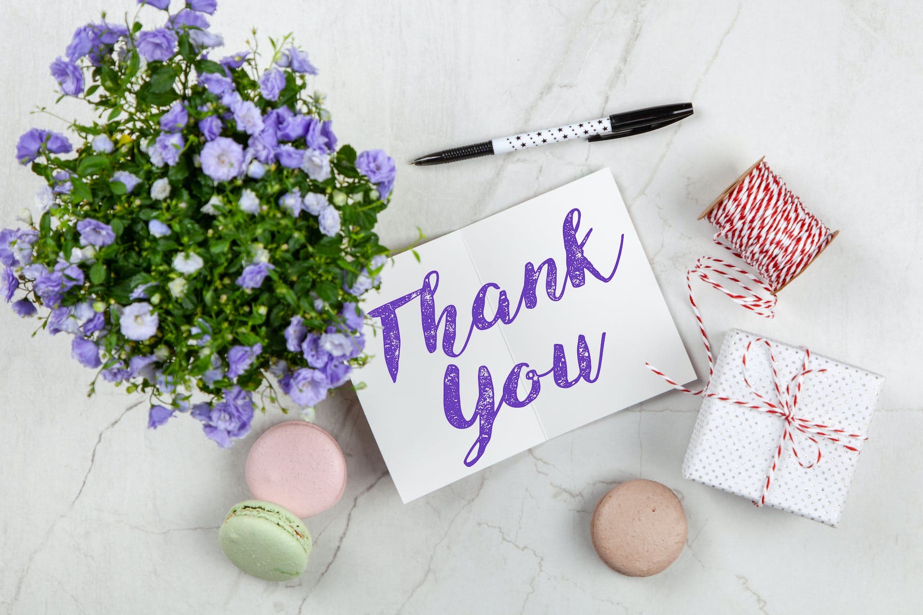 How to Say Thank You in French: 15 Ways Beyond "Merci"