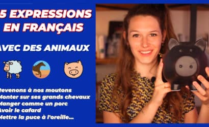 15 EXPRESSIONS EN FRANÇAIS AVEC DES ANIMAUX